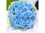 Blue Clues - 24 Stems In Bouquet